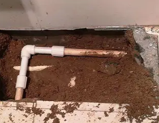 勐海测漏水哪家好