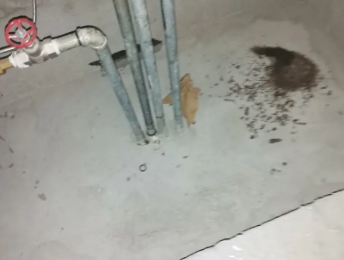 勐海卫生间测漏水价格明细