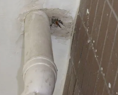 勐海漏水检测哪家好